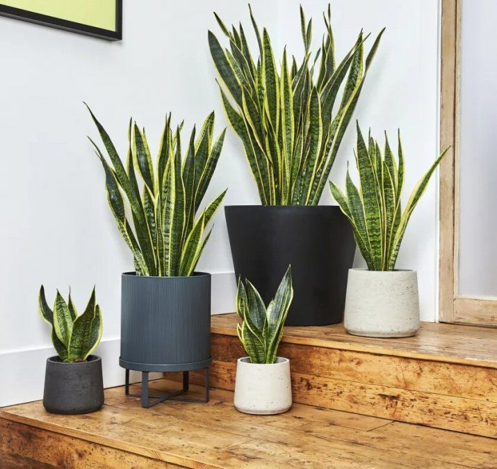 De fácil mantenimiento.