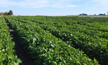 Las provincias, los sectores productivos y más dinámicos “no pueden seguir sosteniendo a los sectores improductivos del país”, dijo el gobernador. Las provincias, los sectores productivos y más dinámicos “no pueden seguir sosteniendo a los sectores improductivos del país”, dijo el gobernador.