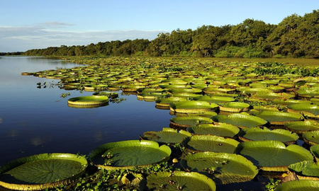 Los Esteros del Iberá fueron elegidos como el mejor destino para hacer turismo en Argentina en el 2024. Los Esteros del Iberá fueron elegidos como el mejor destino para hacer turismo en Argentina en el 2024.