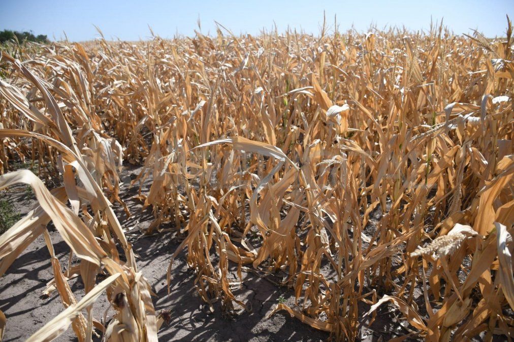 AIRE recorrió los tres Departamentos del norte de Santa Fe y reflejó el impacto negativo de la sequía.