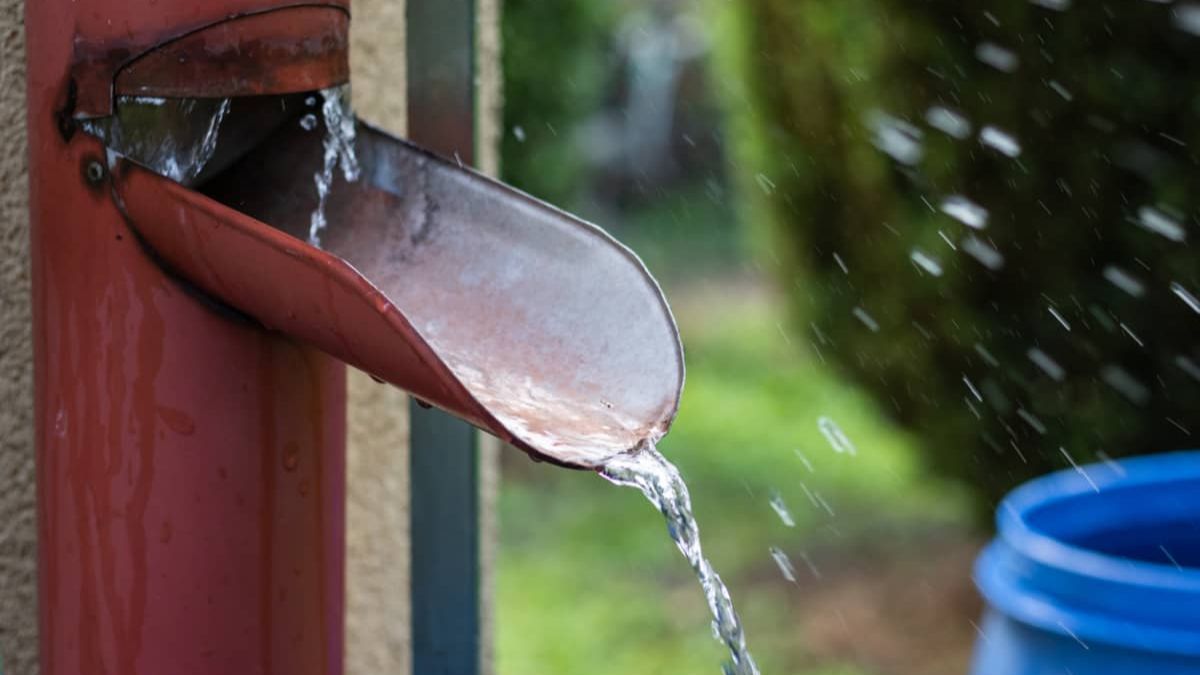 Colocar contenedores limpios en áreas abiertas permite acumular una reserva de agua pura