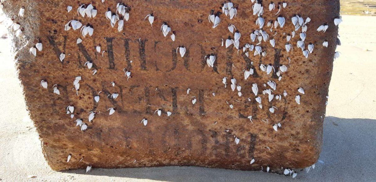 "Cajas misteriosas" encontradas en la costa de Brasil