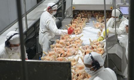 Tras los feriados, la empresas tienen un escenario más normal, con lo cual se equilibra oferta y demanda y se tiende a acomodar el precio. Tras los feriados, la empresas tienen un escenario más normal, con lo cual se equilibra oferta y demanda y se tiende a acomodar el precio.
