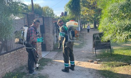 Fumigaciones contra el dengue en barrio Loyola Sur, de la ciudad de Santa Fe. Fumigaciones contra el dengue en barrio Loyola Sur, de la ciudad de Santa Fe.