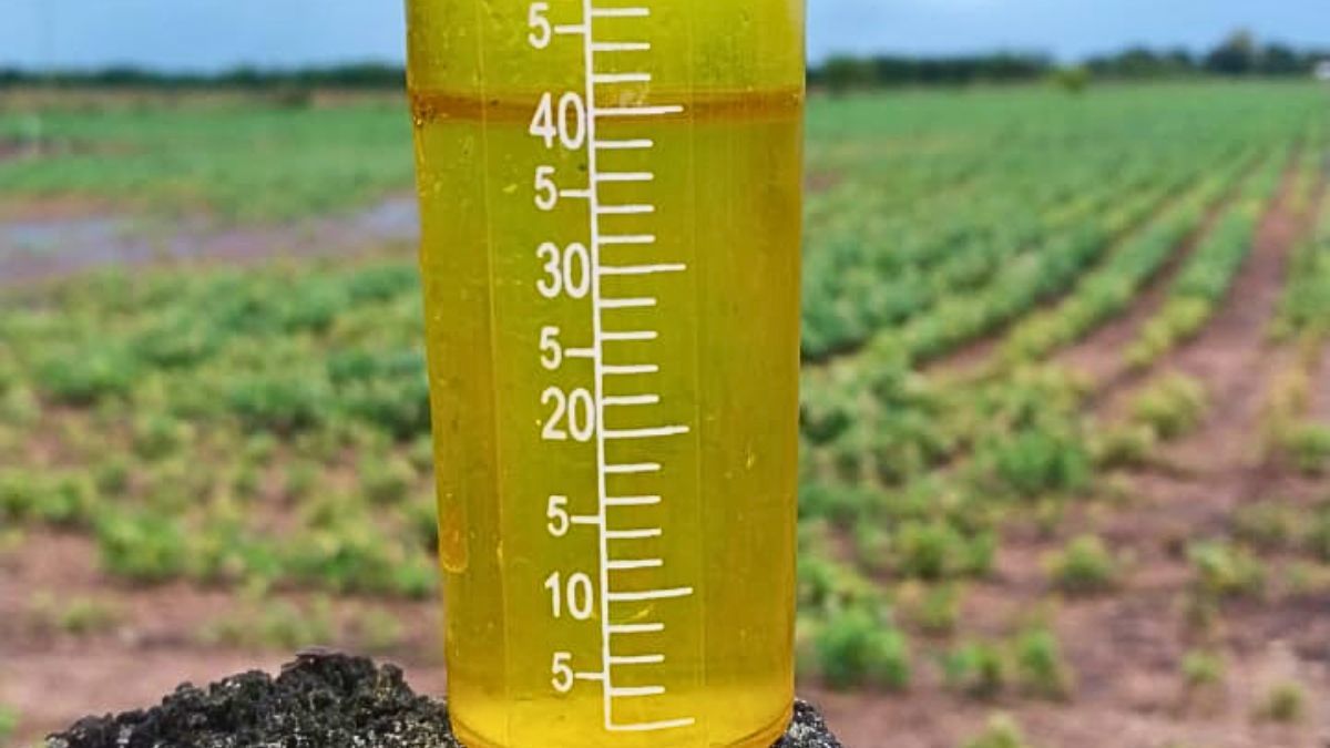 En el sur los registros son muy buenos