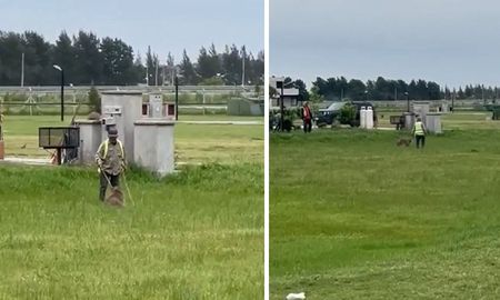 Un grupo de hombres golpeó a un carpincho en un country de Canning en Buenos Aires. Un grupo de hombres golpeó a un carpincho en un country de Canning en Buenos Aires.