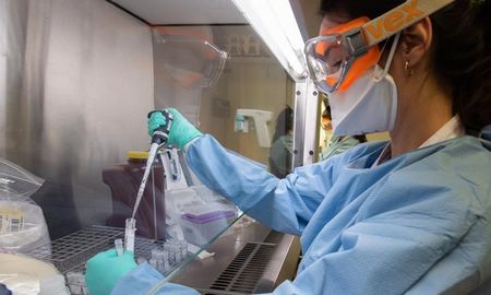 importante avance en el desarrollo de tests rapidos que buscan coronavirus importante avance en el desarrollo de tests rapidos que buscan coronavirus
