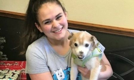 Sniffles: el perro sin nariz que se robó el corazón de Estados Unidos