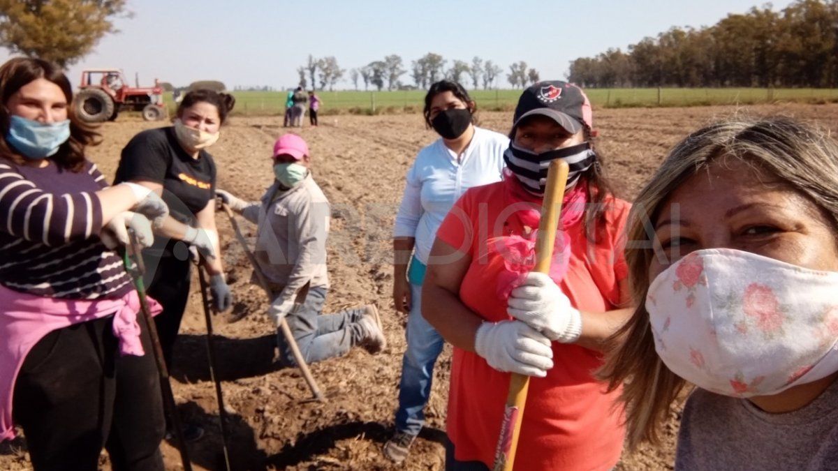 Tras varios años de inactividad, la cooperativa volvió a trabajar en 2016 y contó con el apoyo del exministro de la Producción de Santa Fe, Luis Contigiani.