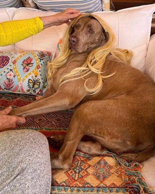 Thelma se encuentra delicada de salud.