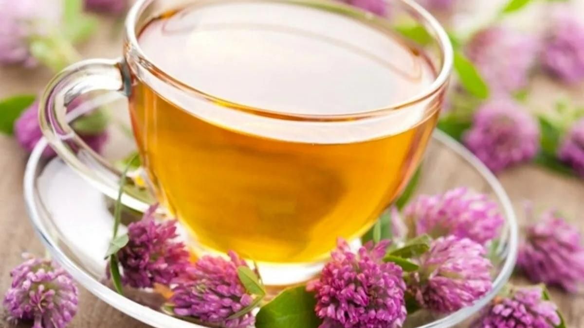 La valeriana es una poderosa aliada contra el insomnio.