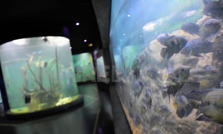 El gobierno de la provincia posibilitó que durante 2022 más de 8.000 niños, niñas y jóvenes, de distintos niveles visiten el Acuario del Río Paraná, en Rosario. El gobierno de la provincia posibilitó que durante 2022 más de 8.000 niños, niñas y jóvenes, de distintos niveles visiten el Acuario del Río Paraná, en Rosario.