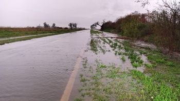 Se cerró la Ruta Nacional 11 entre Barrancas y Arocena por anegamiento de la calzada