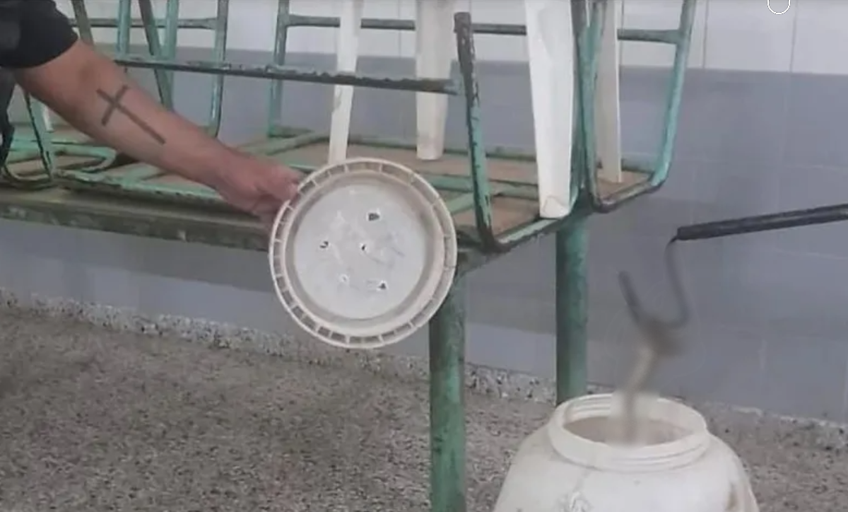 Pánico en una escuela de Alto Verde: encontraron una yarará dentro de un merendero y cerraron la institución temporalmente&nbsp;