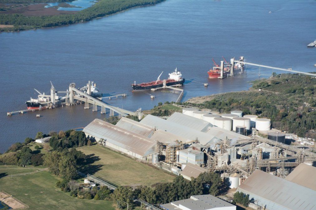 Se estableció la suspensión temporaria del diferencial de 2% de los derechos de exportación de harina y de aceite de soja del decreto 790/2020.