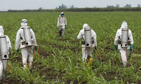 prohiben pulverizar con agroquimicos a menos de 800 metros del casco urbano de sastre prohiben pulverizar con agroquimicos a menos de 800 metros del casco urbano de sastre
