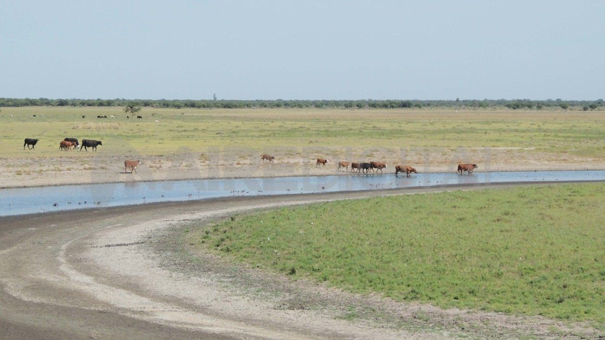 A pesar de que las consecuencias de las sequías son más manejables que las que provocan una inundación