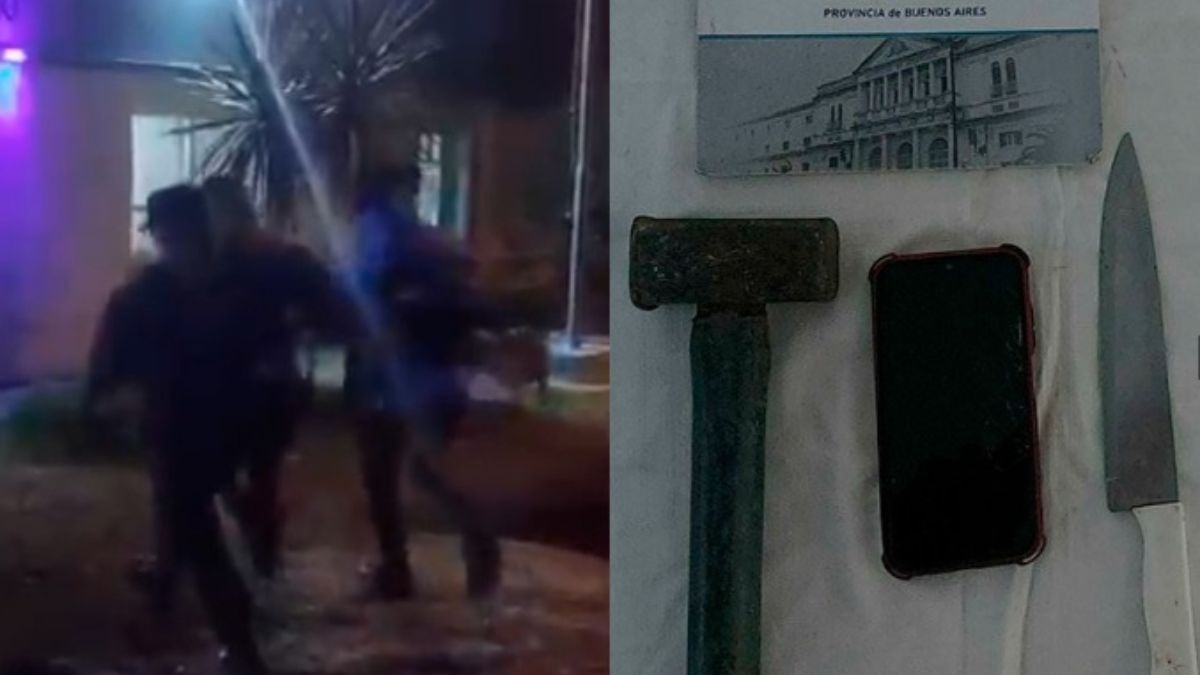 Mar del Plata: detuvieron a una mujer por haber atacado con una maza a su pareja y a su hijo.