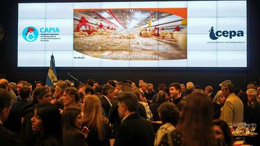 La avicultura celebró su día con un consumo récord, pero advirtió que necesita más exportaciones e inversiones para seguir creciendo La avicultura celebró su día con un consumo récord, pero advirtió que necesita más exportaciones e inversiones para seguir creciendo