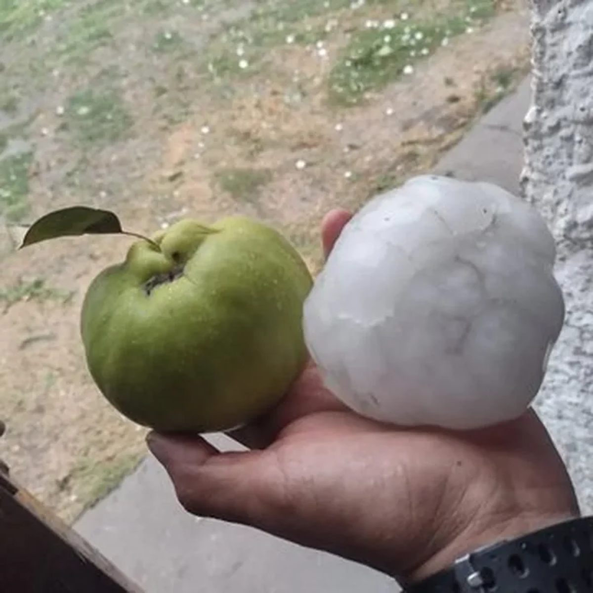 Temporal en Mendoza. Temporal en Mendoza.