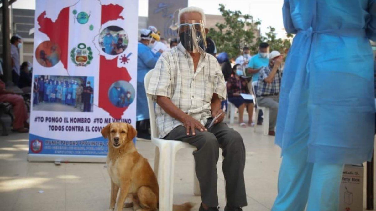 Un abuelo fue a vacunarse contra el Covid-19 acompañado por su perro: Quise compartirlo con él