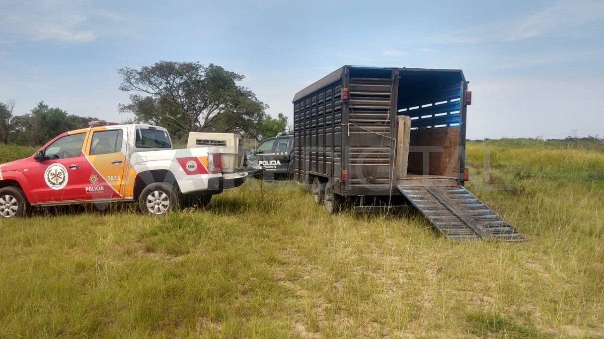 En una zona de descampado el jueves hallaron prendas de vestir y un teléfono celular que pertenecerían a Claro Próspero Perezlindo