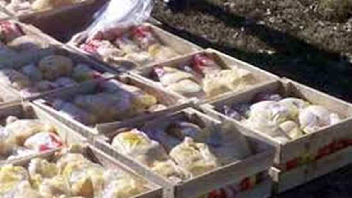 El cajón de pollos aumentó cerca del 50