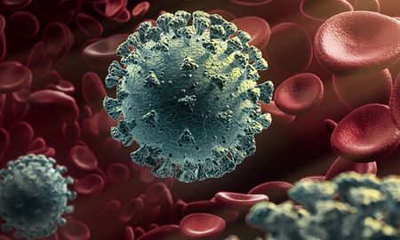 una nueva mutacion del coronavirus lo hace mas infeccioso pero menos patogeno una nueva mutacion del coronavirus lo hace mas infeccioso pero menos patogeno