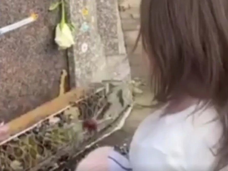 Niña fue al cementerio a visitar a su madre y al hablar con ella ocurrió algo inesperado: ¿qué pasó?