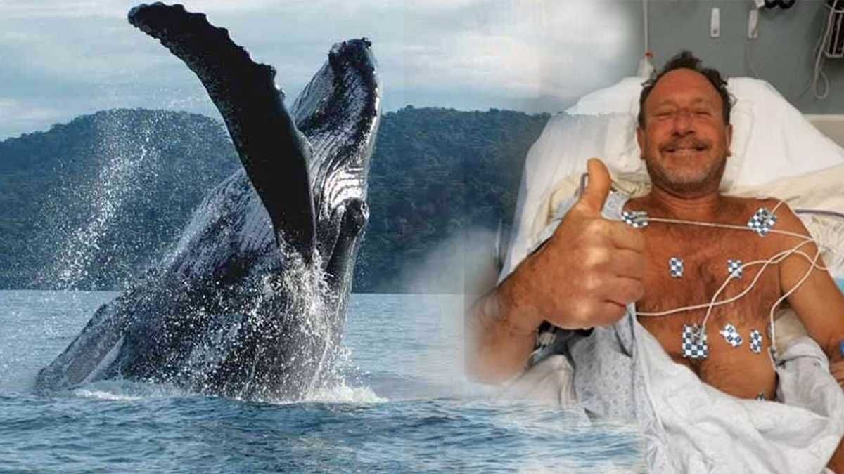 Micheal pensó inicialmente que había sido tragado por un tiburón blanco.&nbsp;