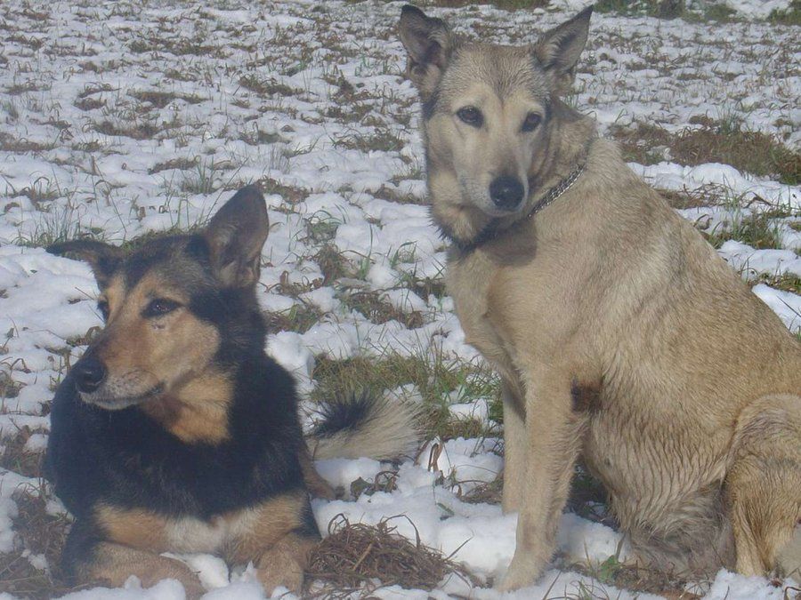 Los hermanitos Betún y Fatiga.