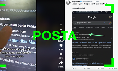 Según las estadísticas, desde agosto último la coalición oficialista pagó un total de 937 anuncios por aproximadamente $95 millones. En tanto, en los 12 anuncios del sitio web “loquedicemilei” se pagó un máximo de $790 mil. Según las estadísticas, desde agosto último la coalición oficialista pagó un total de 937 anuncios por aproximadamente $95 millones. En tanto, en los 12 anuncios del sitio web “loquedicemilei” se pagó un máximo de $790 mil.