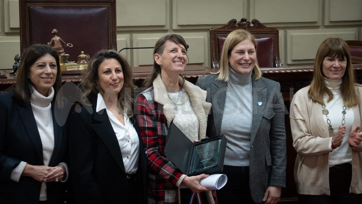 Andrea Viñuela, periodista de AIRE, fue distinguida en la Legislatura. Andrea Viñuela, periodista de AIRE, fue distinguida en la Legislatura.