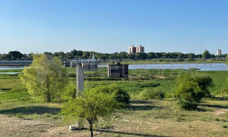 Aseguran que el 80% de la vegetación que está en la Laguna Setúbal no son camalotes Aseguran que el 80% de la vegetación que está en la Laguna Setúbal no son camalotes