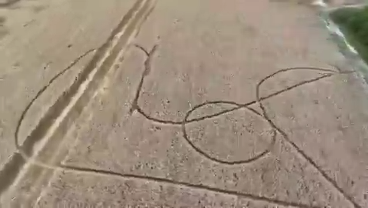 As&iacute; se aprecian mejor los dibujos aparecidos en campos de trigo en el norte de Santa Fe.