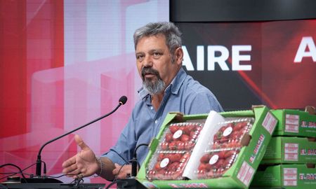 Coronda ya palpita la 66ª Fiesta Nacional de la Frutilla: Va a ser inolvidable Coronda ya palpita la 66ª Fiesta Nacional de la Frutilla: Va a ser inolvidable