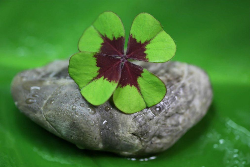 Los signos del zodíaco que tienen buena suerte