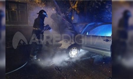 Bomberos Zapadores debieron asistir a todos los siniestros y así sofocar las llamas. Bomberos Zapadores debieron asistir a todos los siniestros y así sofocar las llamas.