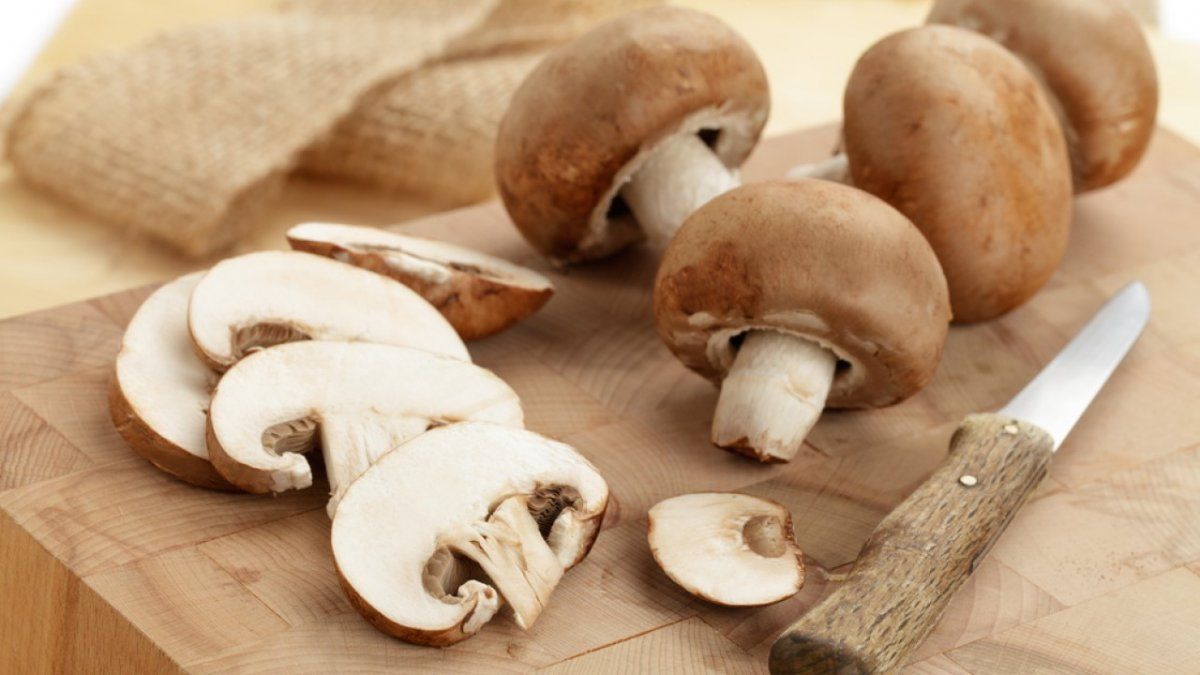 Comer champignones evita la demencia senil, sus beneficios son increíbles