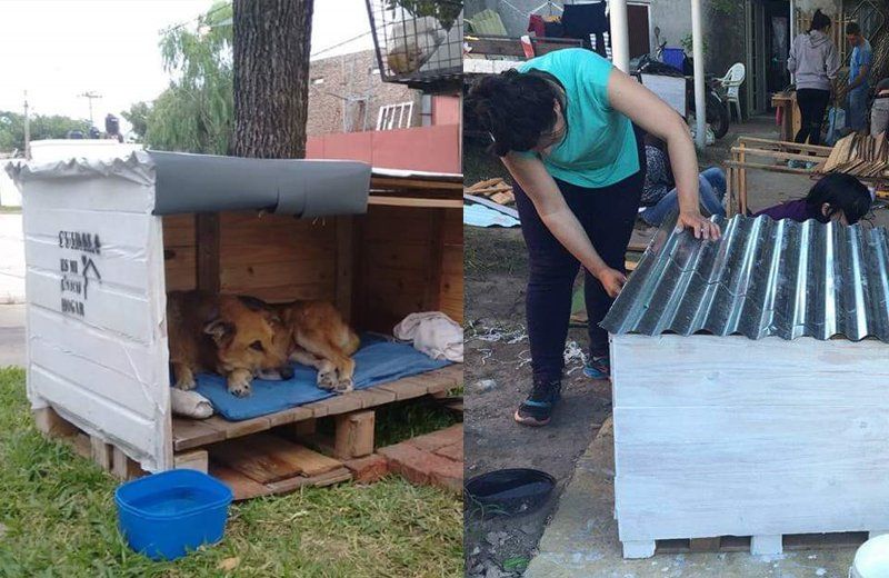 Conocé a los santafesinos que hacen cuchas para perros de la calle
