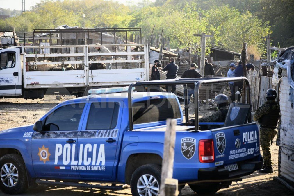 Durante el allanamiento, la Policía secuestró animales en la granja de Cantero.