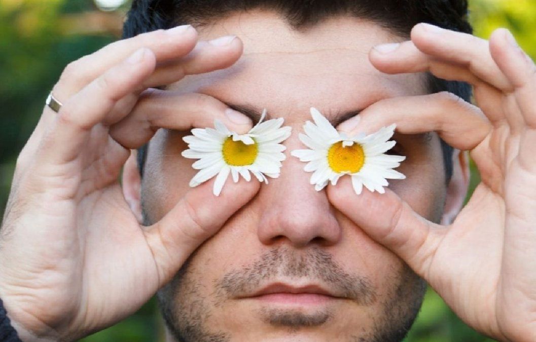 Qué beneficios tiene la manzanilla para los ojos