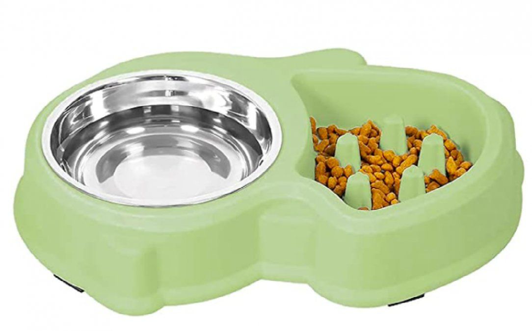 Qué accesorios son indispensables si tenes un gato como mascota