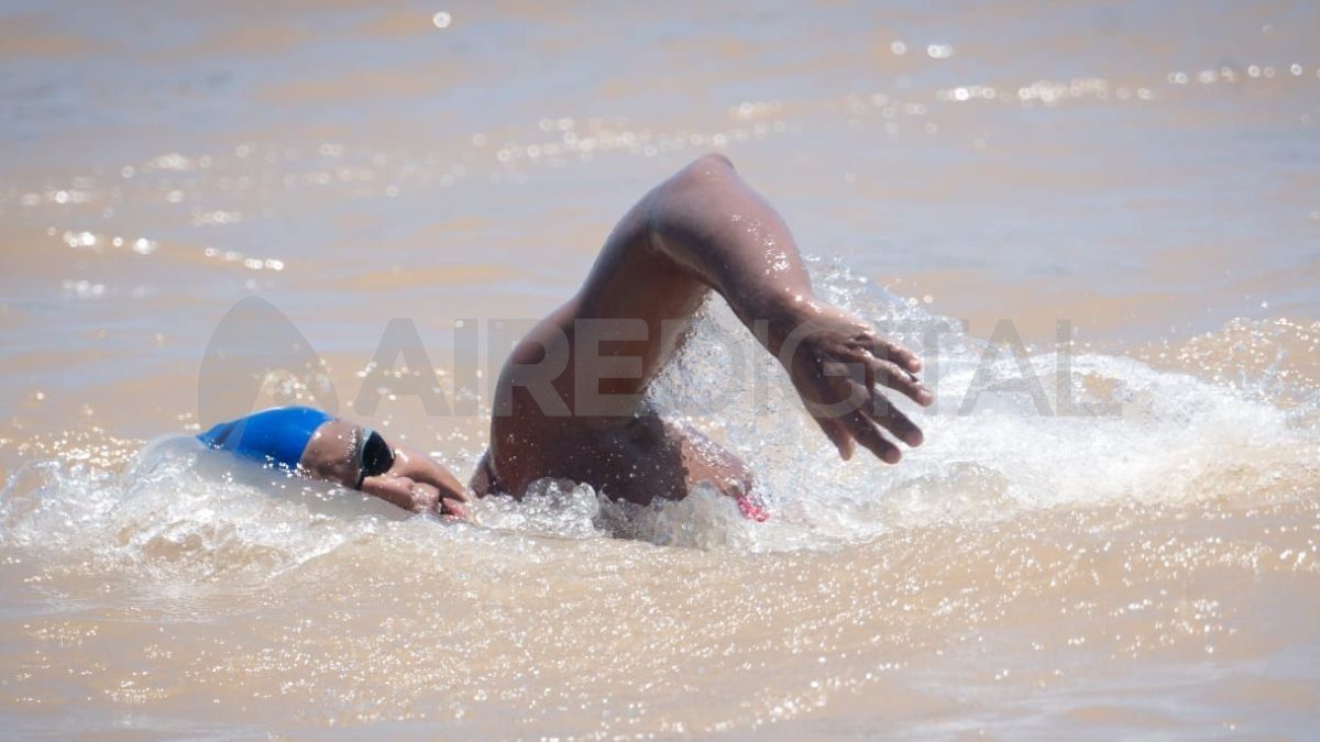 David Farinango. David Farinango.