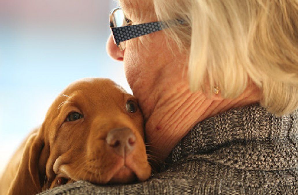 Horóscopo:  signos que aman más a los animales que a las personas