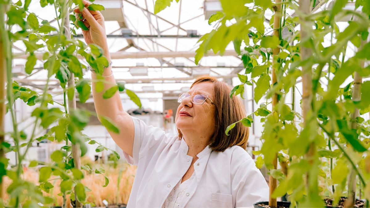 La investigadora Raquel Chan recibió el premio internacional L’Oréal-UNESCO “Por las Mujeres en la Ciencia” y aseguró que el reconocimiento también pone en valor a la ciencia argentina.