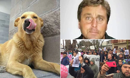 Mar del Tuyú: condenaron al hombre que arrastró a un perro callejero con su camioneta hasta matarlo Mar del Tuyú: condenaron al hombre que arrastró a un perro callejero con su camioneta hasta matarlo