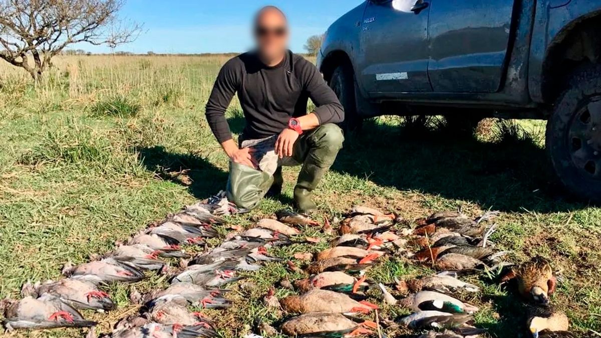 La caza ilegal de animales continúa afectando a los ecosistemas de la provincia de Santa Fe. La caza ilegal de animales continúa afectando a los ecosistemas de la provincia de Santa Fe.