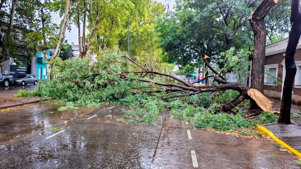 0 data-index-in-node=15>El viento en Rosario alcanzó ráfagas de 102 km/h durante la madrugada de este martes.