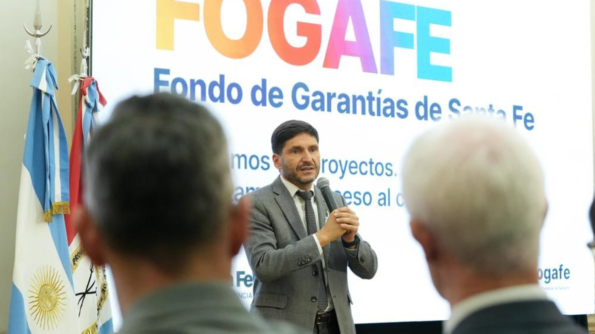 Pullaro dijo que las herramientas financieras impulsadas por el Estado deben articularse con las necesidades del sector privado. Pullaro dijo que las herramientas financieras impulsadas por el Estado deben articularse con las necesidades del sector privado.